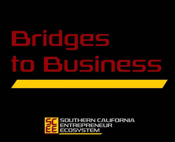 Bridge_to Business